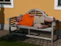 p1030668_max